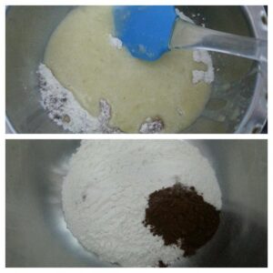 Batter to make chocolate chip apple cake 