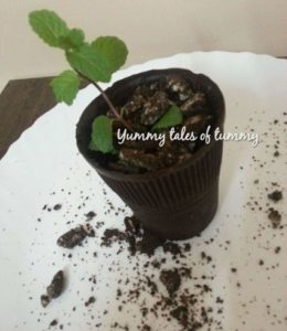 Brownie Rabdi edible Chocolate Flower Pot