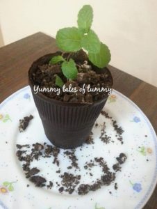 Read more about the article Brownie Rabdi edible Chocolate Flower Pot
