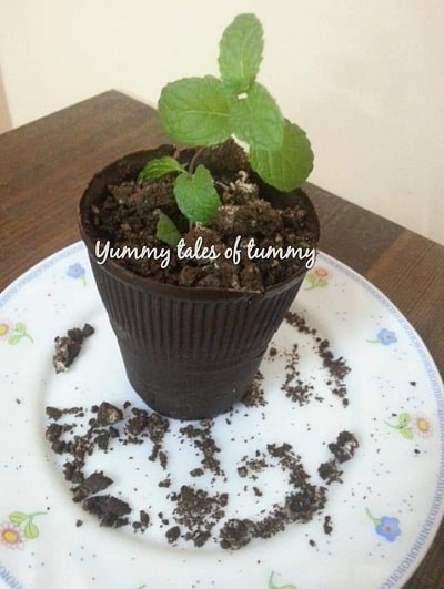 You are currently viewing Brownie Rabdi edible Chocolate Flower Pot