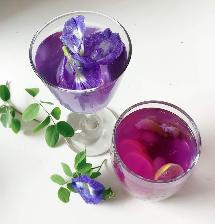 Butterfly pea flower Lemonade