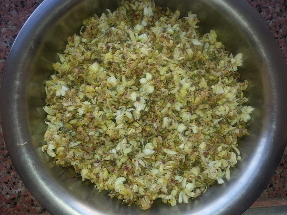 Drumstick flower Cutlets Recipe Yummy Tales Of Tummy