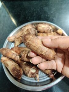 Boiled Kachalu/Arbi/Colocasia/Taro root