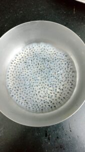 Soaked sabza/Takmaria seeds in a bowl to make Tender Coconut Lemonade | Bonda Sharbat