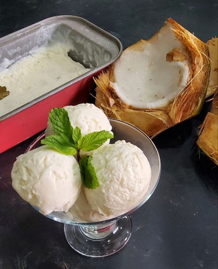 You are currently viewing 4 Ingredient Tender coconut ice cream (Naturals style)