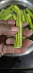 Moringa / Drumstick / Singyun/Sahjan ki fali