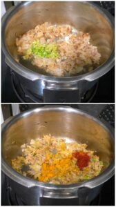 Onions ans spices 